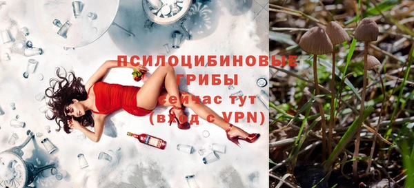 трава Богородицк