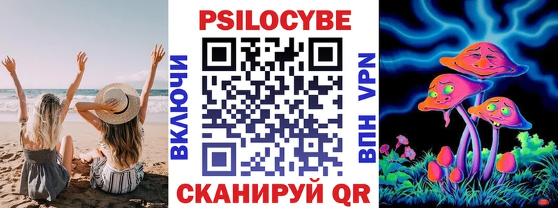 Галлюциногенные грибы Psilocybine cubensis  Свирск 
